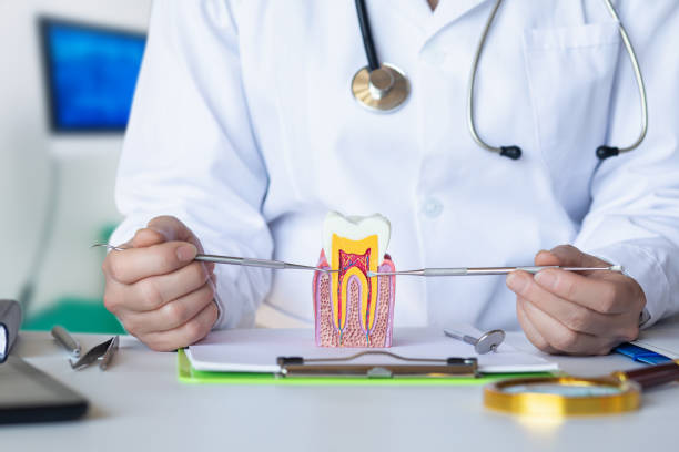 Best Emergency Gum Treatment in Clarks Green, PA